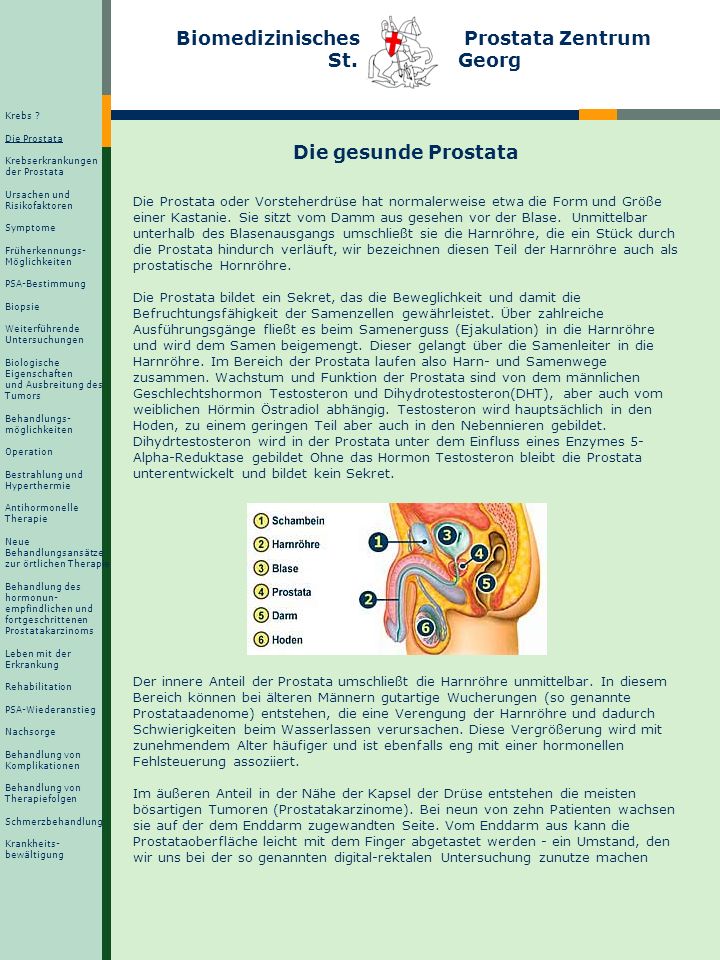 gutartiger prostata tumor icd 10 gutartiger prostata tumor icd 10